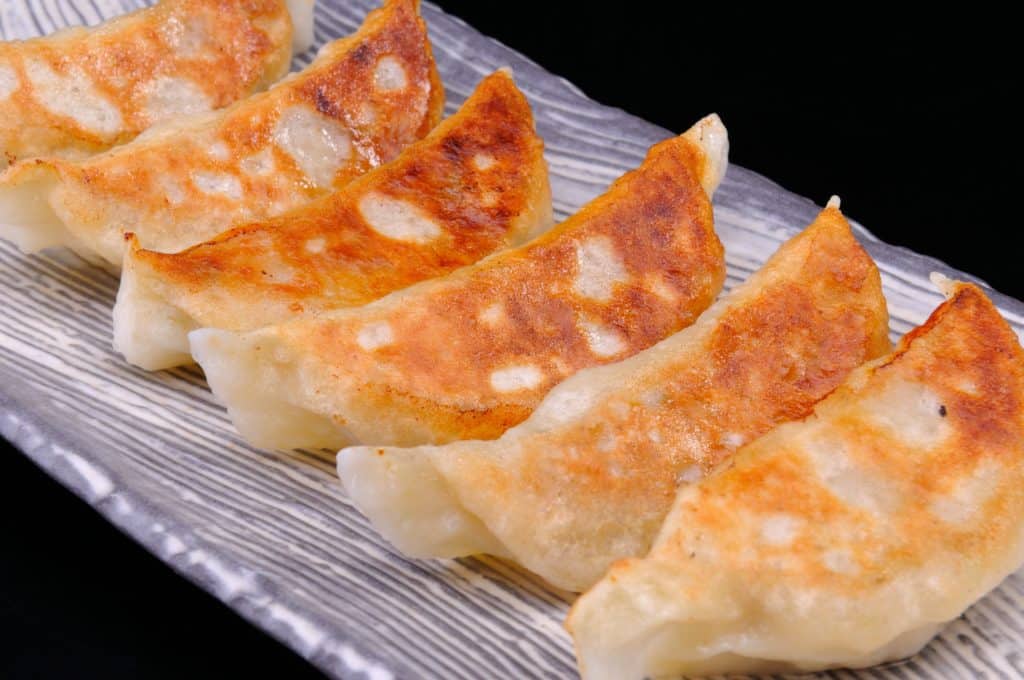 Japanese Food Gyoza
