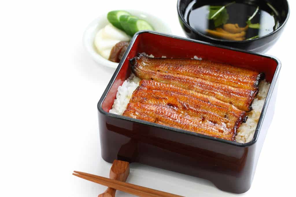 Japanese Food Unajuu Grilled Eel Over Rice