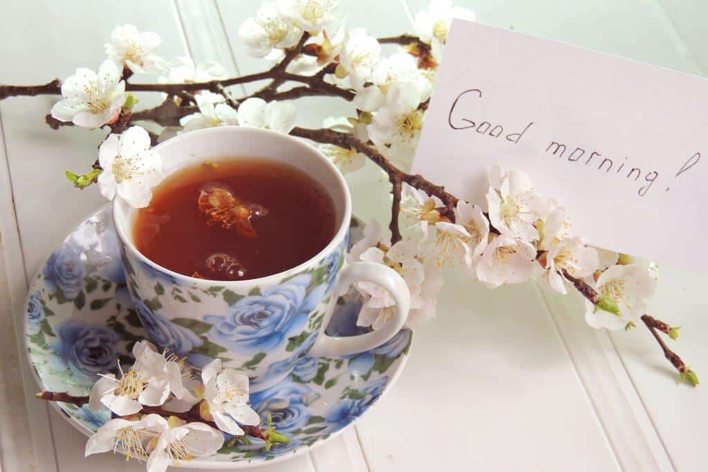 Hello in Japanese Good Morning