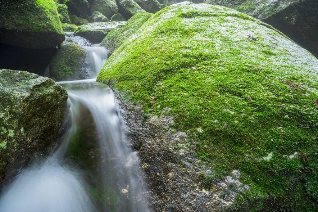 The 10 Best Onsen in Japan - Yakushima