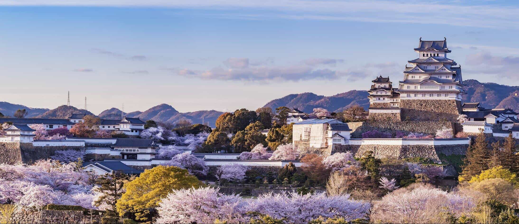 A panoramic shot of a huge Japanese castle standing above trees and other buildings in Japan.