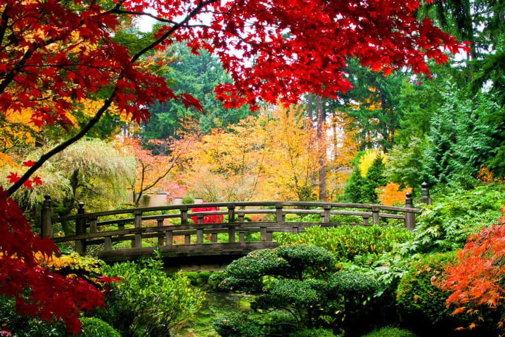 Best Time to Visit Japan - Fall Kouyou
