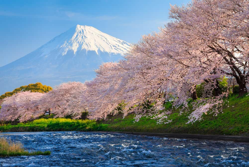 Best Time to Visit Japan - Mt. Fuji