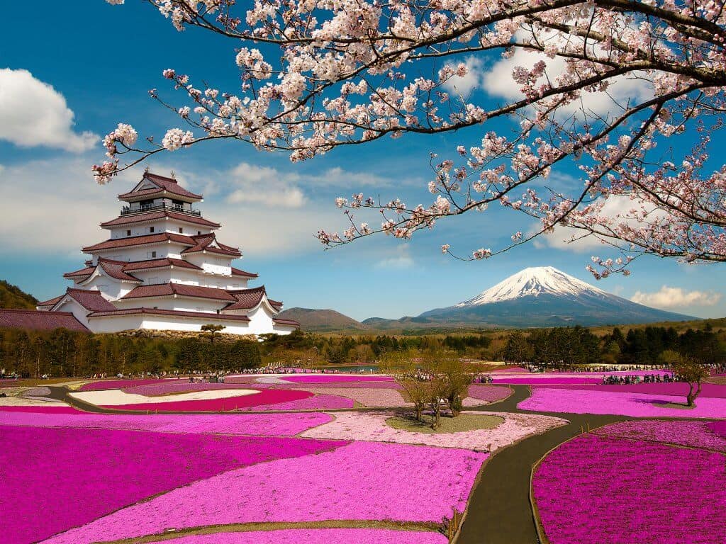 Best Time to Visit Japan - Spring