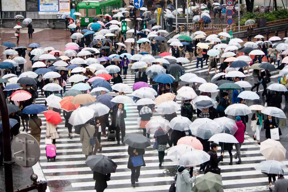 Best Time to Visit Japan - Summer Rainy Season