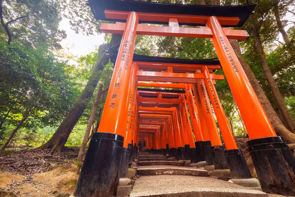 Fushimi Inari Shrine - Torii Gate Trail