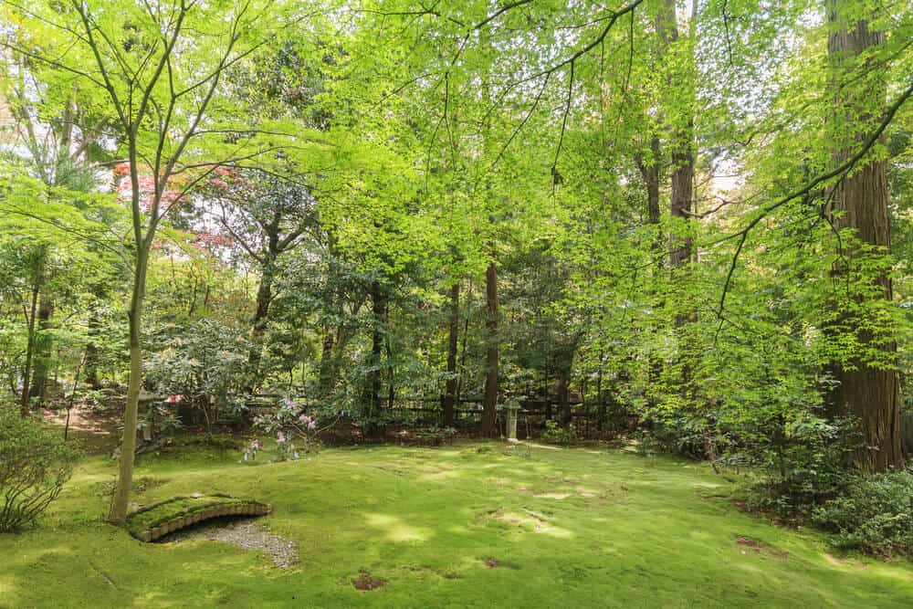 Okochi Sanso - Garden
