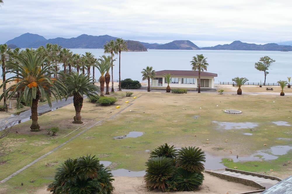 Amazing Animal Islands in Japan - Okunoshima - Bunnies All Over