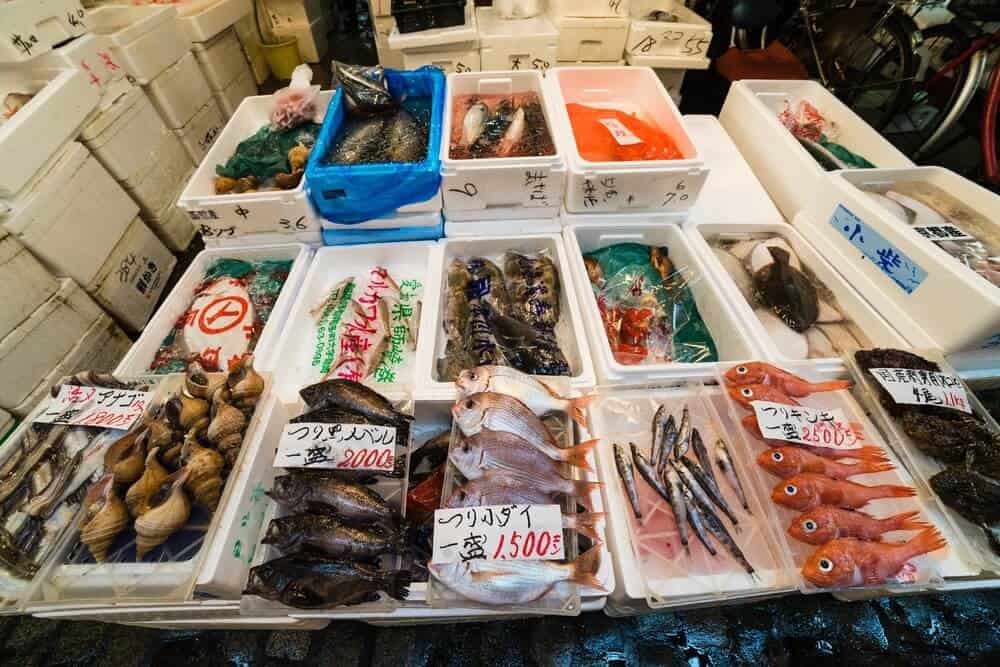 Tsukiji Fish Market - Fresh Fish