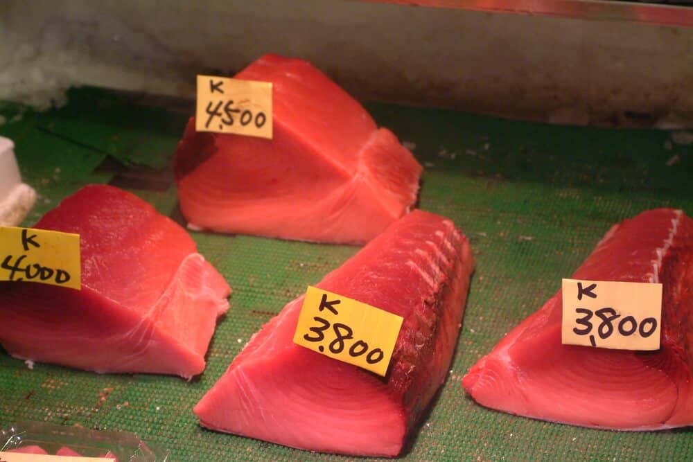 Tsukiji Fish Market - Maguro Tuna
