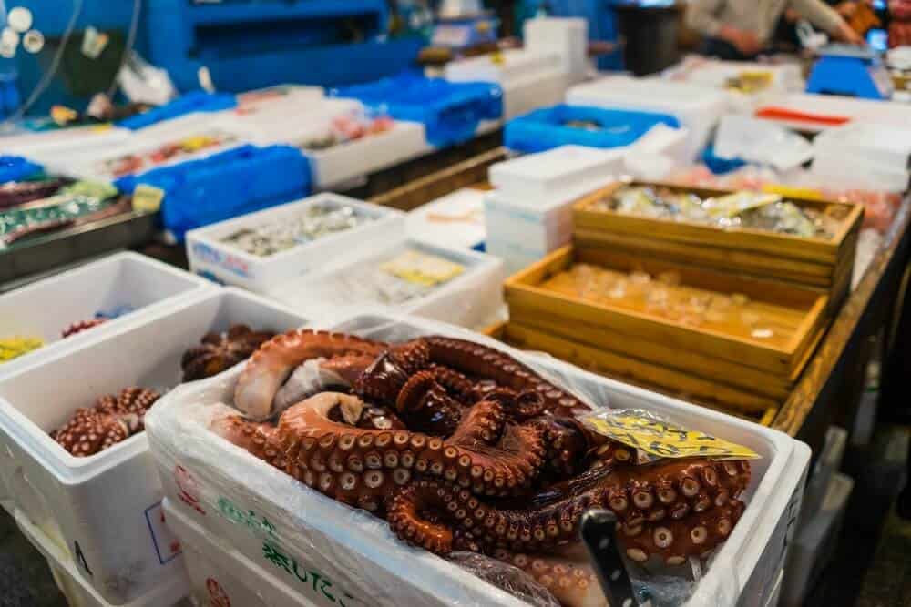 Tsukiji Fish Market - Octopus