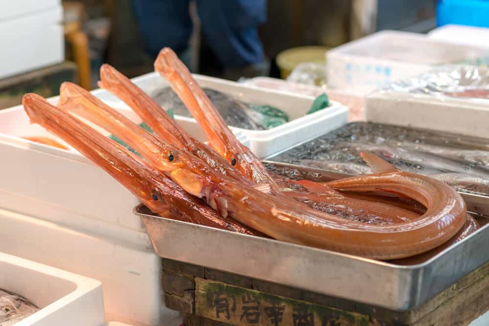 Tsukiji Fish Market - Tuna Inspection