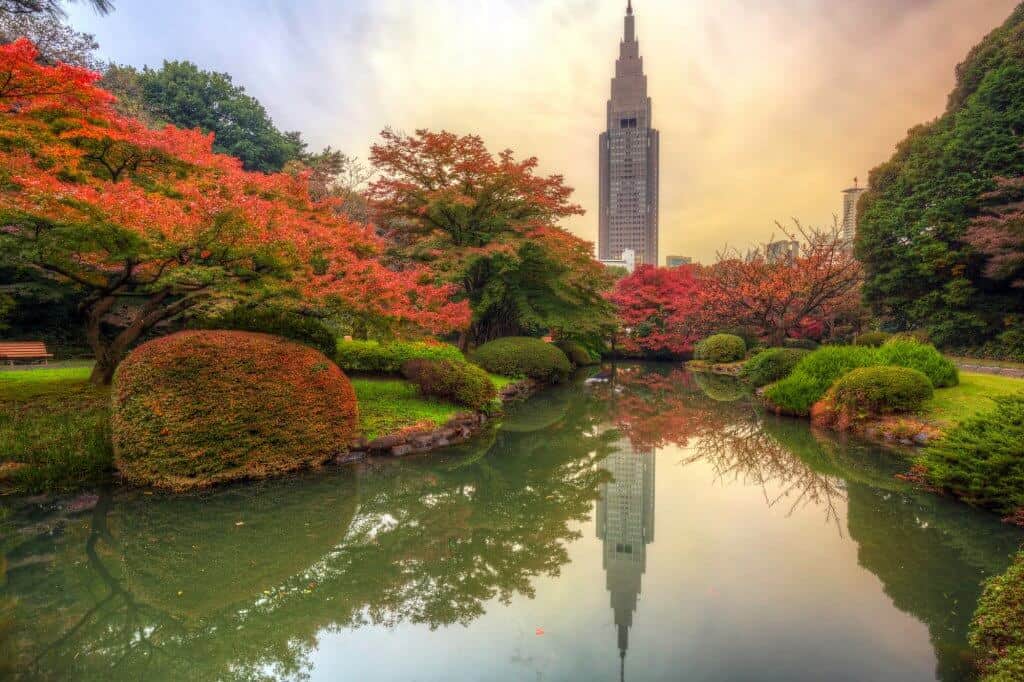 Shinjuku Gyoen Park in Japan in Autumn