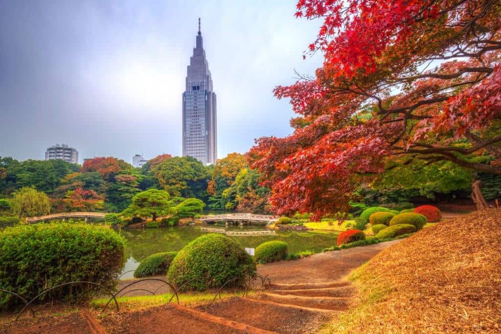 Shinjuku Gyoen Park in Shinjuku Heart of the City