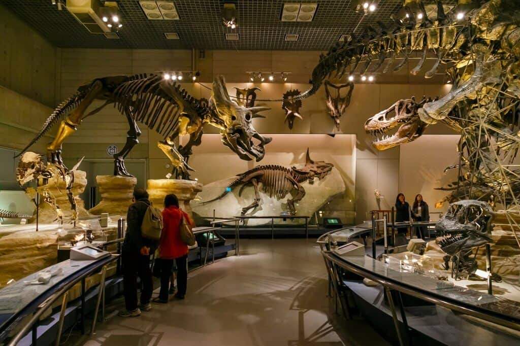 National Museum of Nature and Science Dinosaur Exhibit