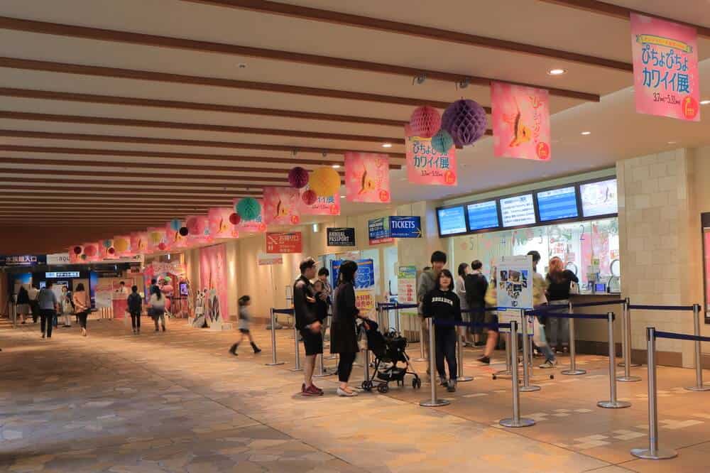 Things to do in Ikebukuro - Sunshine Aquarium Ikebukuro