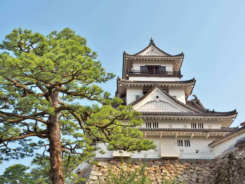 Kochi Castle - Kochi