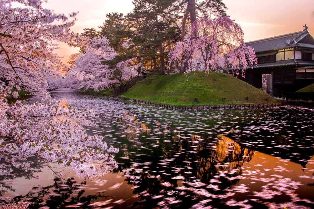 Pros and Cons of Living in Japan Beautiful Japan
