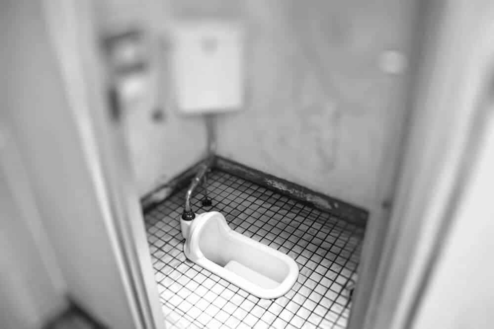Pros and Cons of Living in Japan Squat Toilets