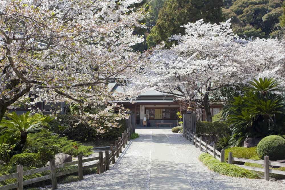 Shikoku 88 Temple Pilgrimage 2nd Temple Gokurakuji