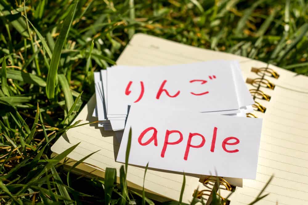 White flashcards on top of a small spiral notebook that is on top of grass. There is Japanese chracters written on one of the flashcards, and another flashcard with the word "apple" written on it in red pen..