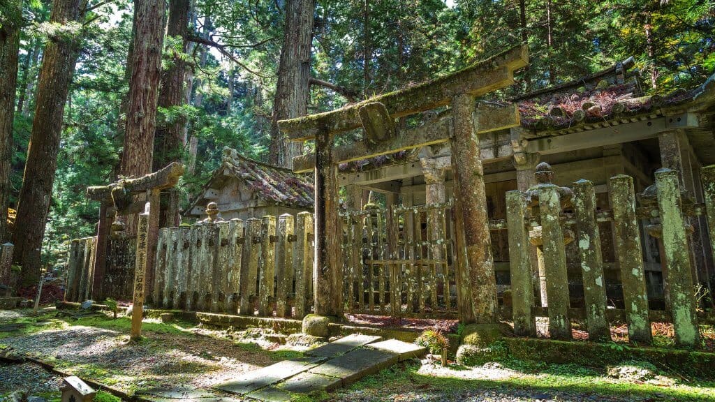 Koyasan - Okunoin Moss