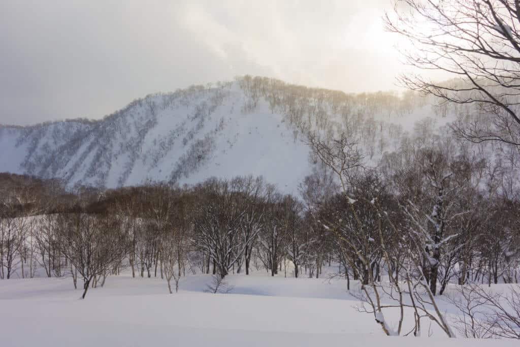 Niseko Hanazono
