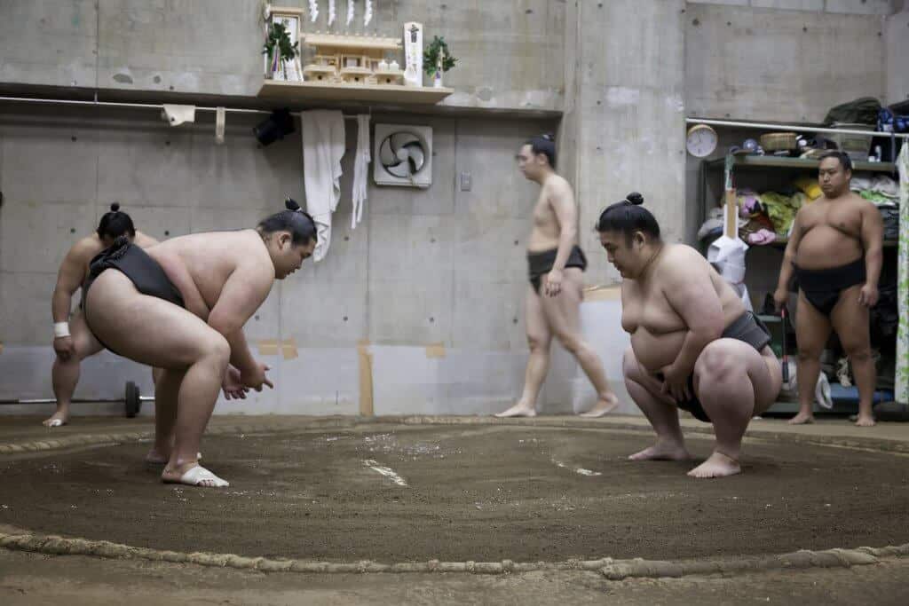 Sumo in Tokyo Practicing