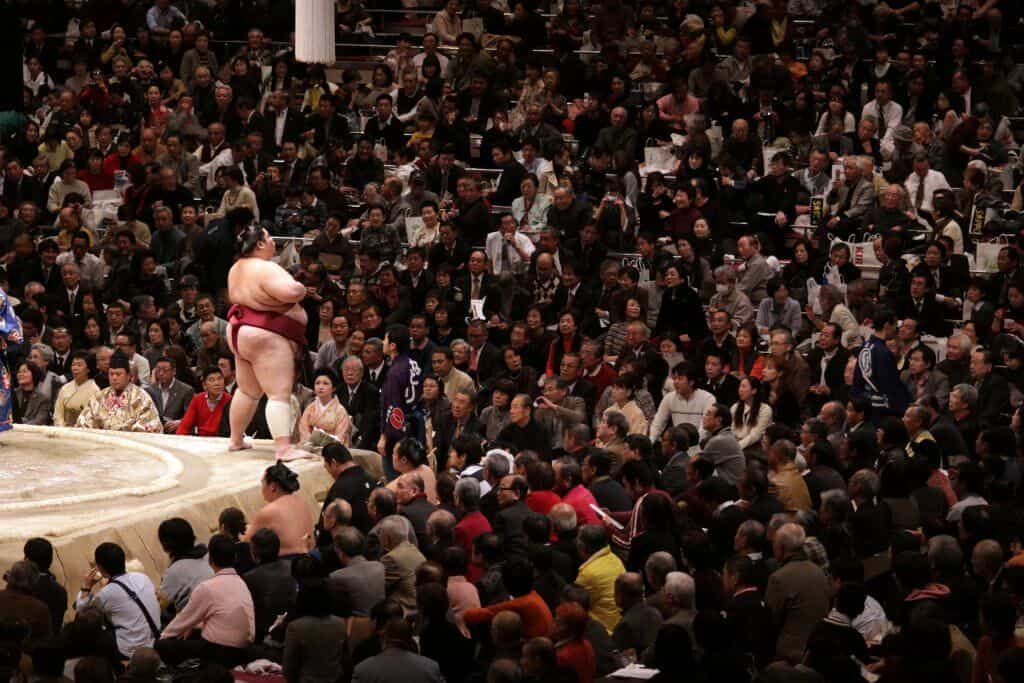 Sumo in Tokyo Seats Near the Ring