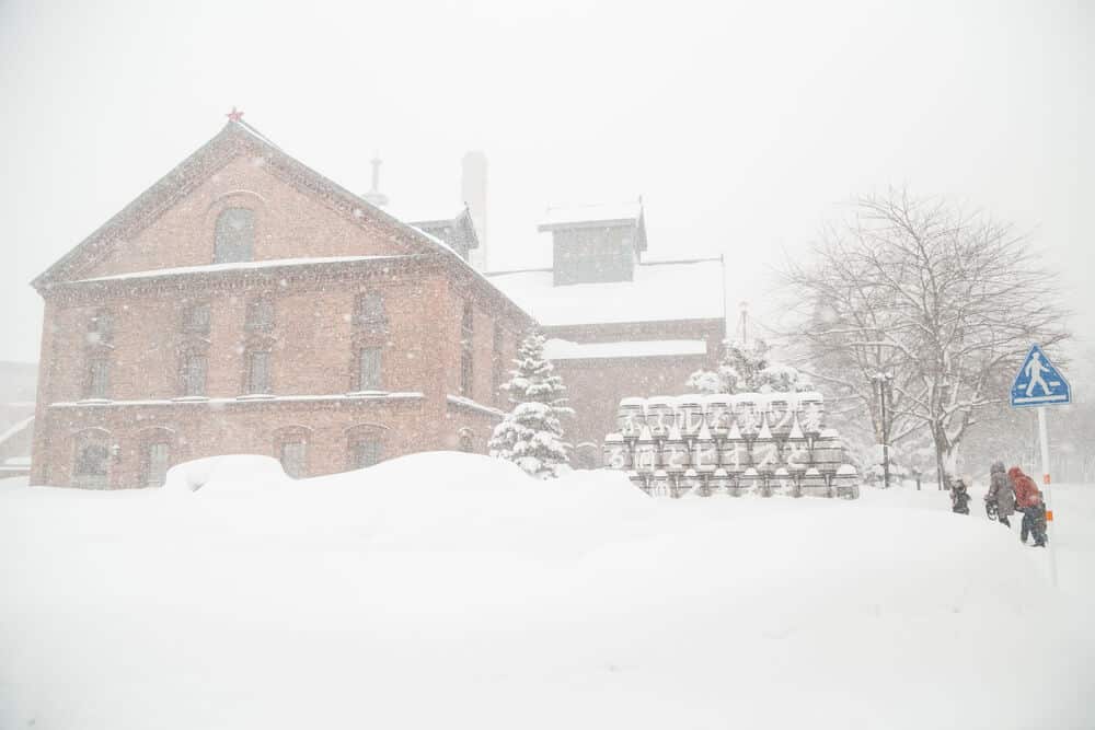 Things to Do in Sapporo Beer Museum Snow Day
