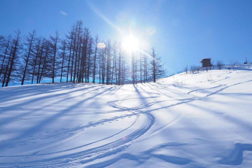Travel to Hokkaido Skiing
