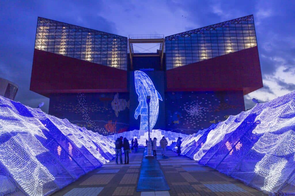 Universal Studios Japan Osaka Aquarium Illumination