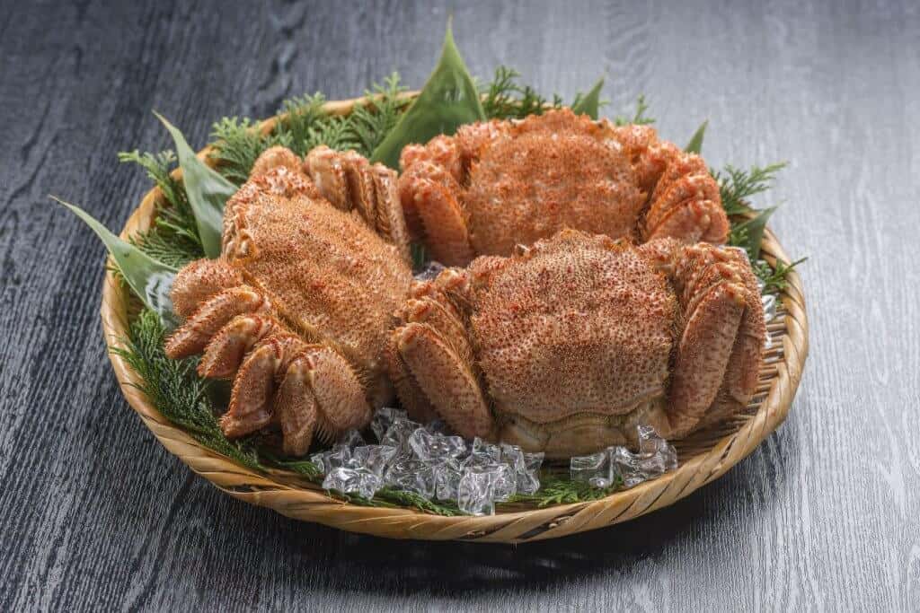 What to do in Sapporo Hairy Crab