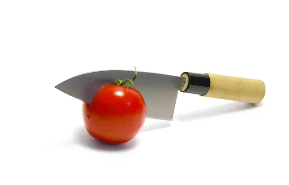 Best Japanese Knives Deba Knife