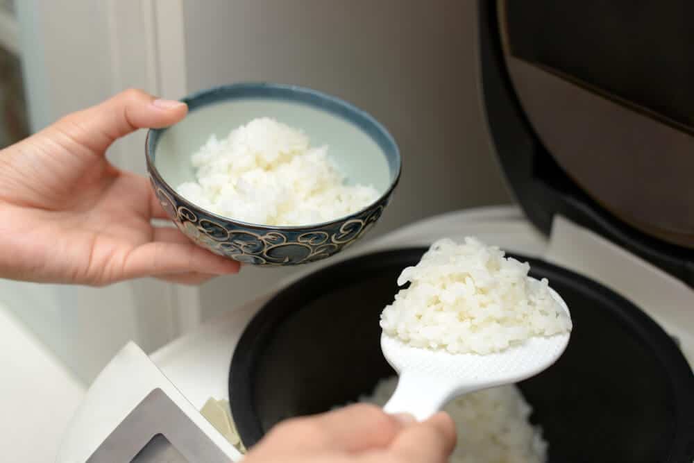 Best Japanese Rice Cooker Good Rice