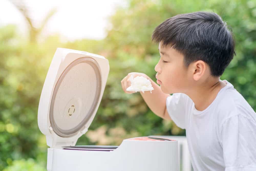 Best Japanese Rice Cooker Things to Consider