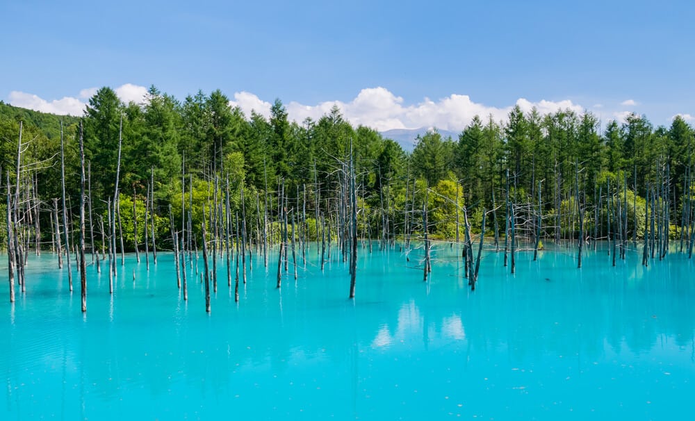 Biei Blue Pond