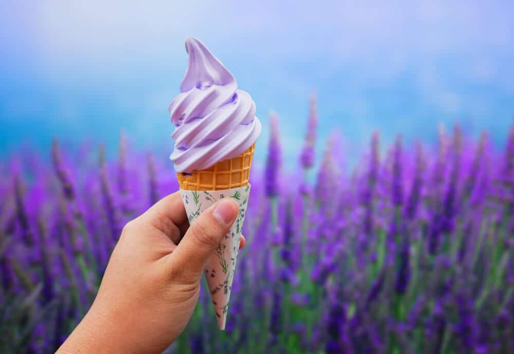 Farm Tomita Lavender Soft Ice Cream