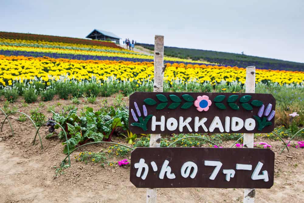 Furano Kanno Farm