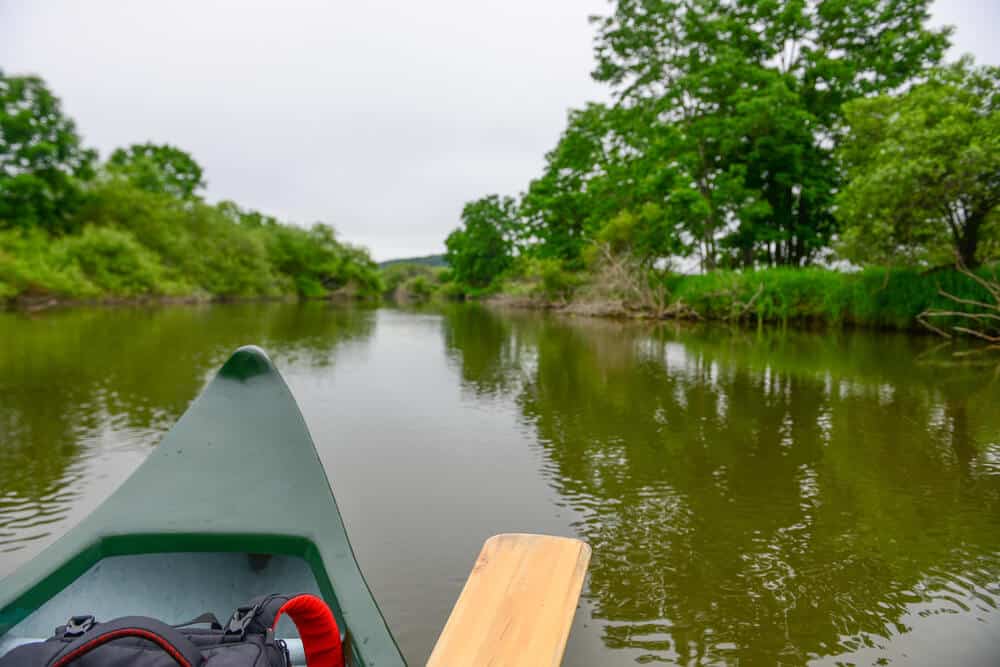 Kushiro Marsh Canoe