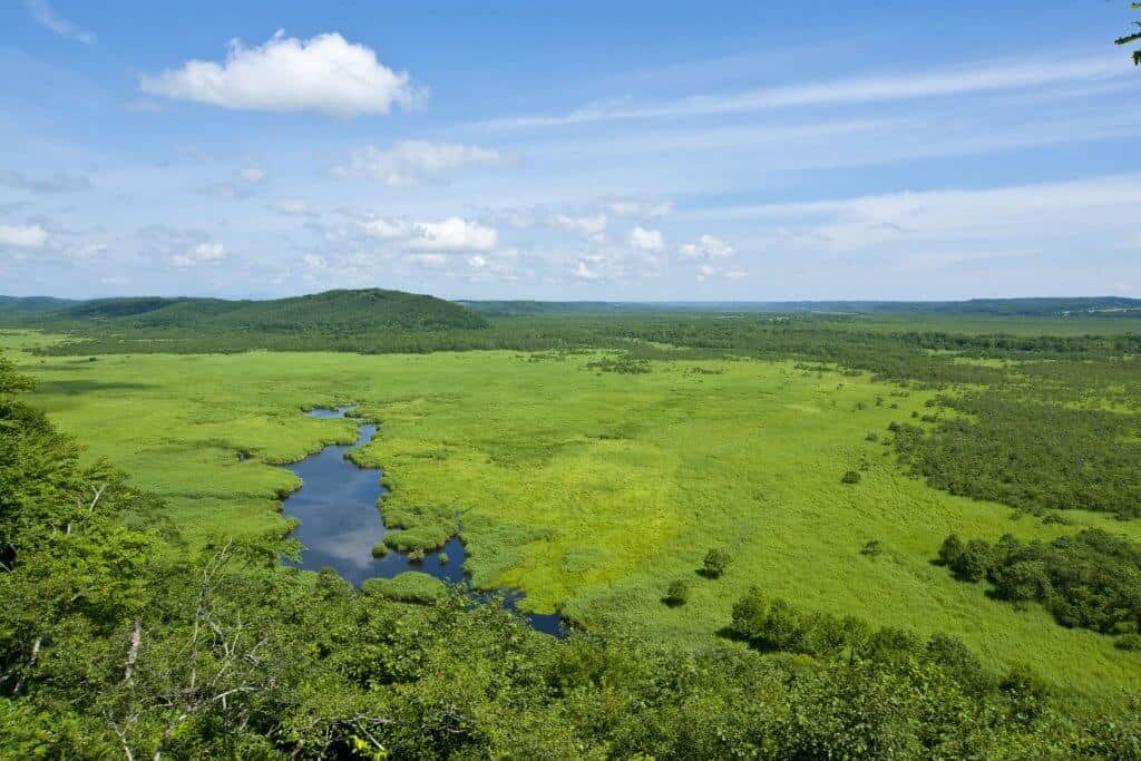 Kushiro Marsh View