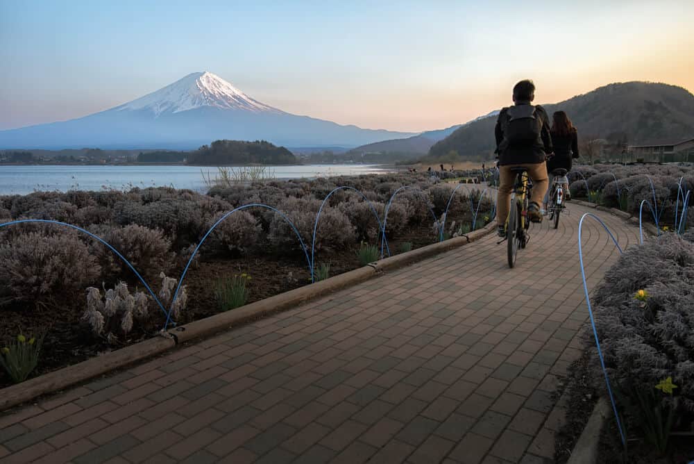 Lake Kawaguchi Bicycles