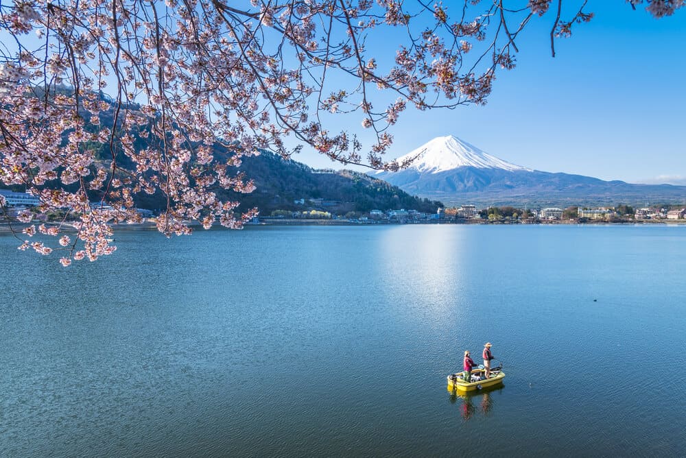 A man and woman fishing from a small boat on top of Lake Kawaguchi. Blossoming flowers are in the foreground, and Mt. Fuji is in the background.