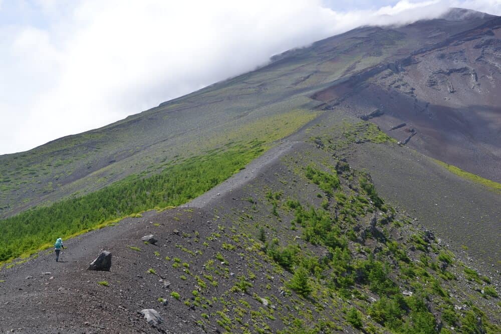 Mt. Fuji View of Fujinomiya Trail