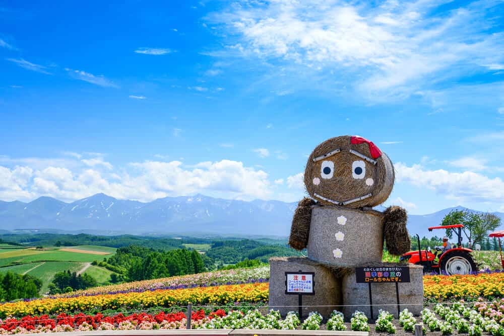 Near Asahikawa Shikisai no Oka