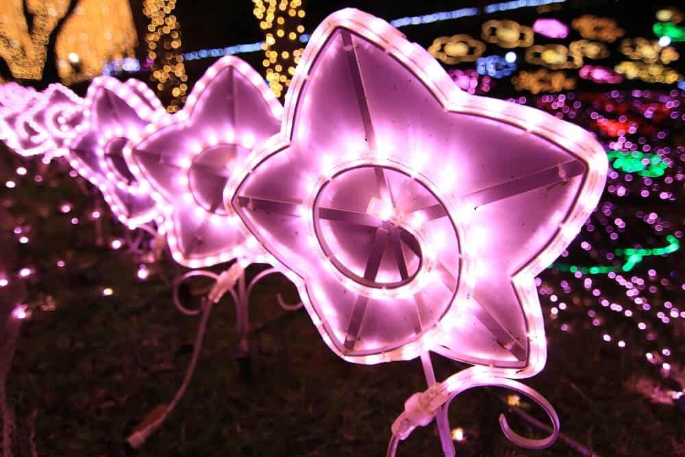 Sagamiko Illumination Flower Light