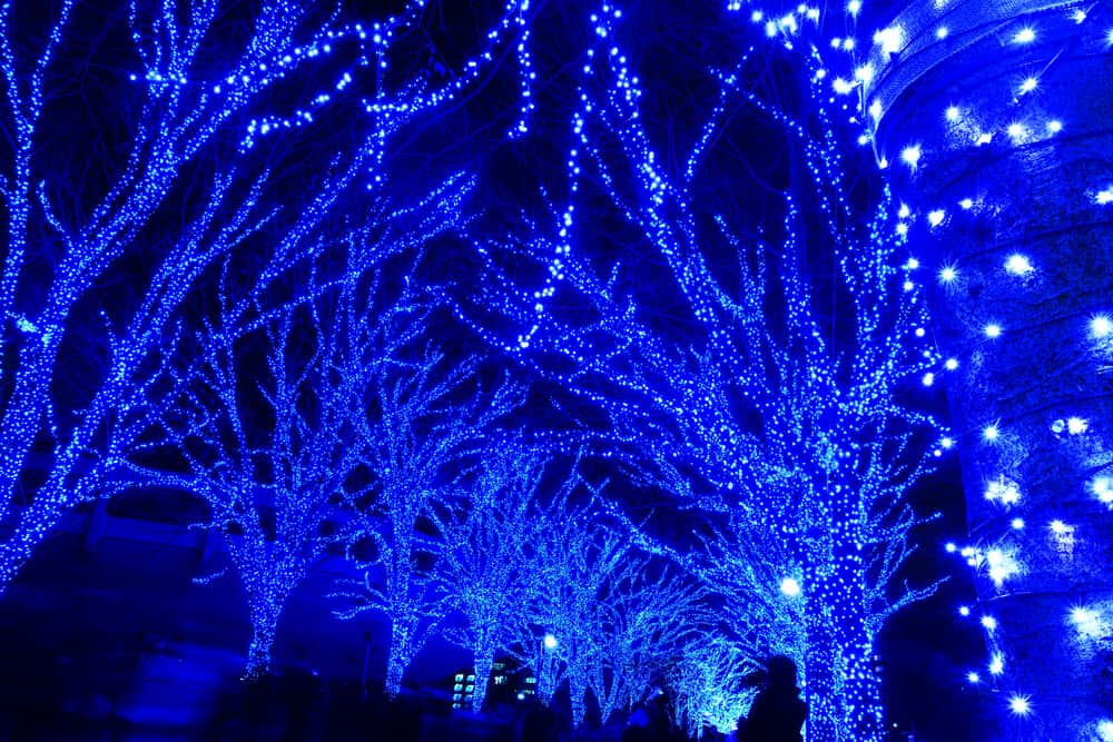 Shibuya Blue Cave Lights