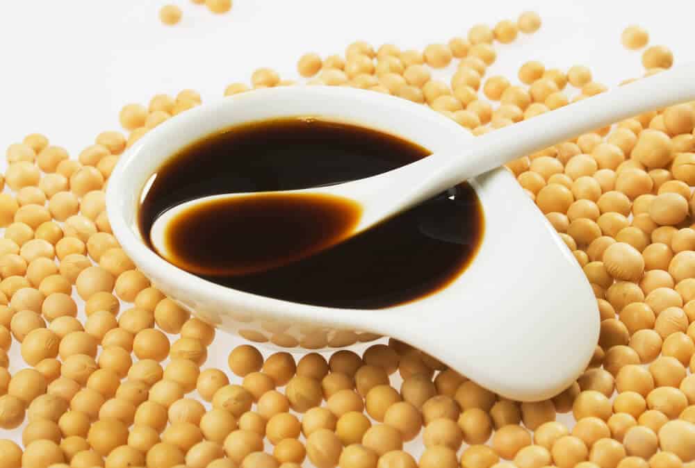 Guide to Japanese Soy Sauce Soybeans