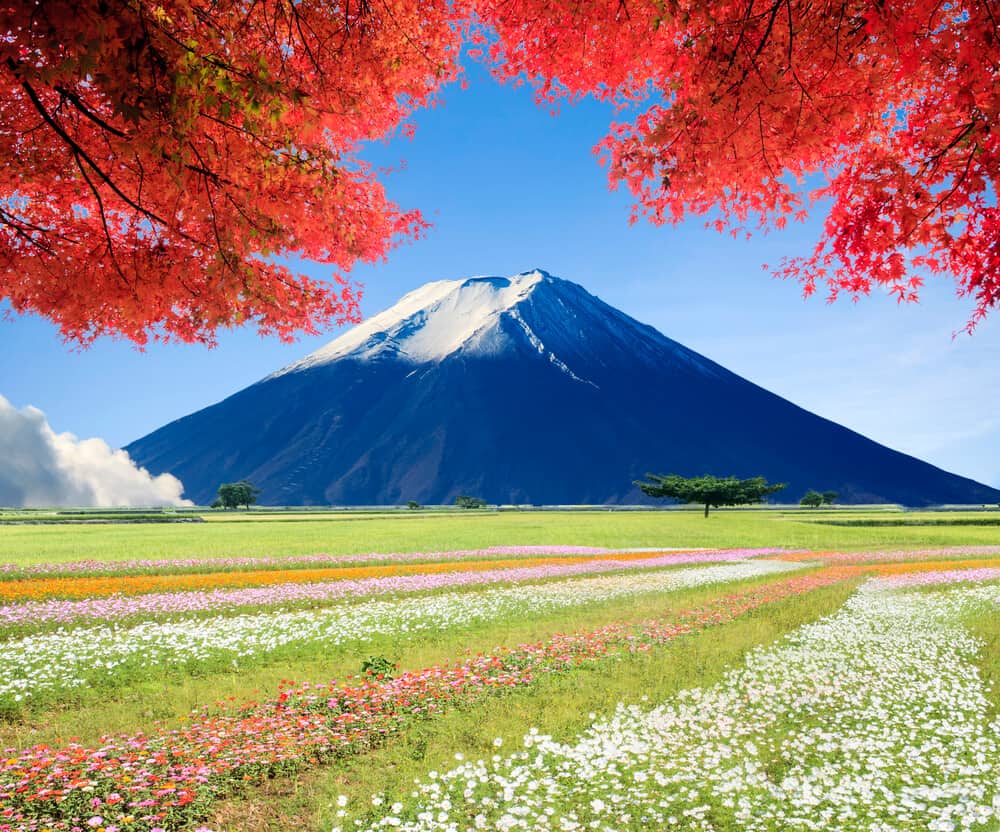 Healthy Japanese Habits - Outdoors