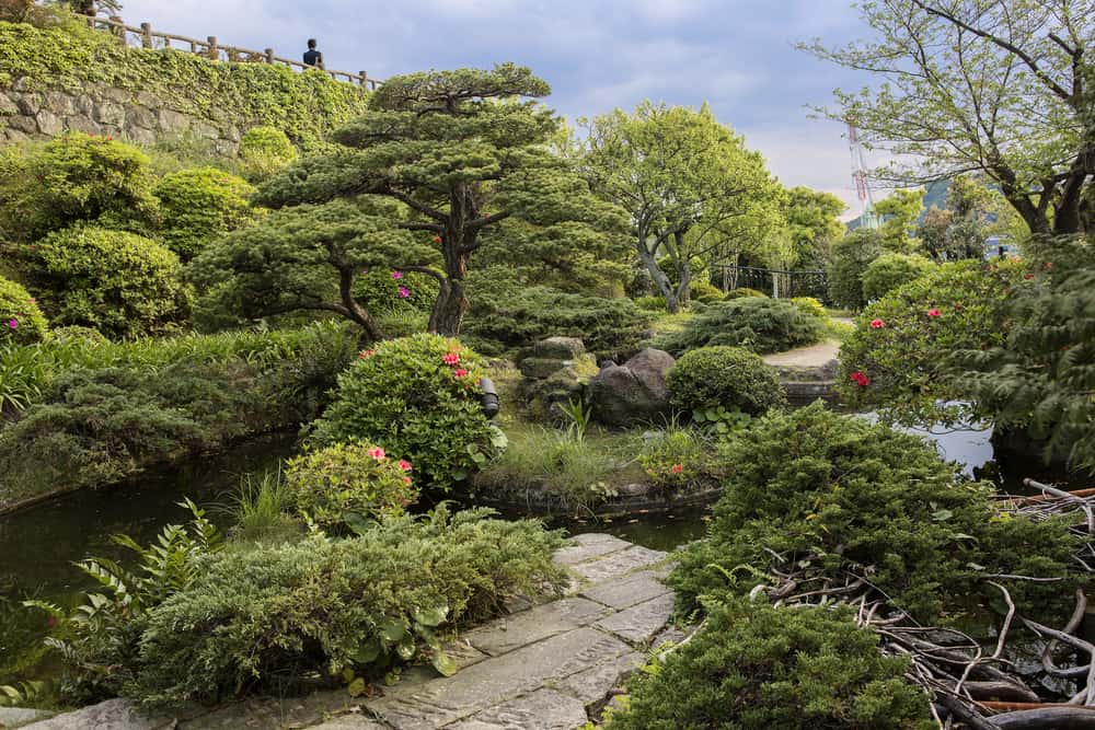 Glover Garden Plants